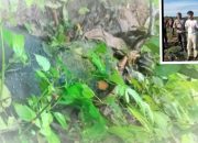 Cinta Berujung Maut, Mahasiswi  Fakultas Ekonomi USI Diduga di Bunuh Mantan Pacar Gegara Sakit Hati