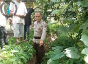 Bocah 1 Tahun 9 Bulan yang Hilang Viral Ditemukan Tak Bernyawa di Aliran Parit Irigasi Persawahan