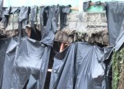 Tembok Pagar Sekolah SMPN 1 Siantar Roboh, Seorang Murid Terluka