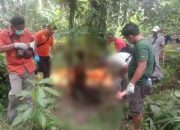 Diduga Terlilit Hutang Tinggalkan Rumah Diam-diam, Pensiunan Karyawan BUMN Asal Indra Giri Hulu – Riau Ditemukan Tewas Gantung Diri di Pohon Sawo