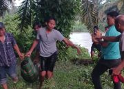 Hilang 6 Hari, Pensiunan BUMN Ditemukan Tewas di Perkebunan Sawit