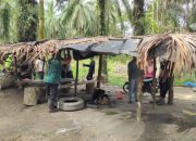 Polisi Amankan Okupasi Lahan PT Sawit Indah Abadi di Buntu Bayu