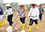 Wabup Simalungun Hadiri Penanaman Jagung Serentak 1 Juta Hektar di Kecamatan Gunung Malela