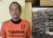 Mencuri Besi di Pematangsiantar, Pria Asal Sei Rampah-Sergei Ditangkap