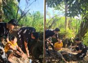Aksi Polisi Tangkap Pengedar Narkoba, Kejar-kejaran di Perladangan Sawit Dusun 3 Perlanaan Kecamatan Bandar