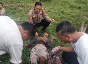Ada Luka Robek dan Memar di Kaki kanan Serta Luka Gores di Kening, Adik Temukan Abang Kandung Tewas Tergeletak di Ladang Sawit Warga