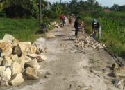 Muda Mudi Dusun Pining II Gotong Royong Bagusi Jalan Rusak Penghubung Desa