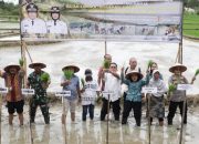 Tanam Padi Serentak, Wali Kota Wesly: Pemko Siantar Berikan Bantuan Benih Padi Unggul 10 ribu Kg  Untuk 400 Ha