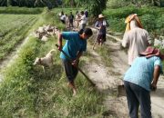 Gotong Royong, Warga Jawa Dusun III Bagusi Jalan Desa