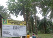 Pekerjaan Rabat Beton di Desa Buntu Bayu Diduga Jadi Ajang Korupsi Oknum Pemborong Marga Ginting