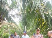 Pagar Makam Raja Tanah Jawa Hilang, Diduga Dicuri 