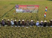 Wesly: Sektor Pertanian di Kota Pematangsiantar Memiliki Potensi yang Cukup Besar dengan Luas Lahan Sawah 1.279 Ha