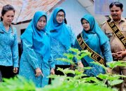 Tim Monitoring TP PKK Provinsi Sumut Tinjau Nagori dan Kecamatan Percontohan di Kabupaten Simalungun 