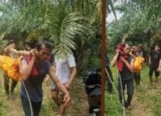 Mayat Pria Ditemukan Mengapung di Sungai Tongguran. Telungkup dan Sudah Membengkak Mengalami Pembusukan