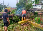Bencana Cuaca Ekstrem Terjang Pematangsiantar, 43 Pohon Tumbang dan Angin Puting Beliung Menimpa 36 KK di dua Kecamatan