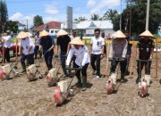 Kapolres Simalungun Ikuti Penanaman Jagung Serentak Kuartal IV Tahun 2025 