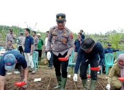 Polsek Bosar Maligas Mengawal Program Ketahanan Pangan Nasional