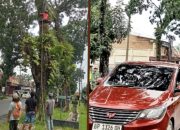 Pemkab Simalungun Laksanakan Penebangan dan Perantingan Pohon Rawan Tumbang 