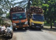 Dishub Simalungun Perketat Pengawasan Truk Over Dimensi Over Loading 
