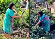 Forkopimca Siantar Lanjutkan Perantingan Pohon di Jalan Asahan 