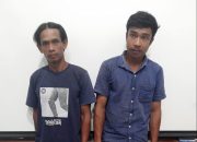 Kena ! Pelaku dan Penadah Sawit Curian di Gelandang ke Polres Simalungun 