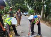 Pak Guru Tewas Dilindas Truck di Huta Simpang Empat Panombeian Panei