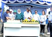 Kabupaten Simalungun Meriahkan Hari Kesehatan Nasional ke-61 dengan Semangat Transformasi dan Dedikasi 