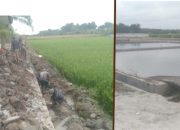 Duga Asal-Asalan, Pembangunan Tembok Kolam Pembibitan di Jawa Tongah Simalungun Jadi Sorotan