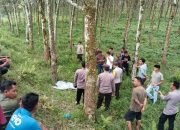 Tumpukan Dihinggapi Lalat Hijau di Perkebunan Bridgestone, Ternyata Mayat Remaja Perempuan