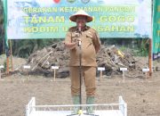Kodim 0208/Asahan dan Pemkab Laksanakan Gerakan Ketahanan Pangan Gogo di Bandar Pulau