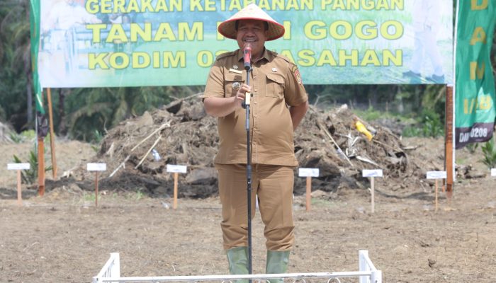 Kodim 0208/Asahan dan Pemkab Laksanakan Gerakan Ketahanan Pangan Gogo di Bandar Pulau