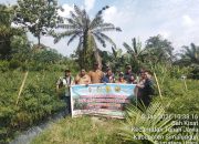 Bhabinkamtibmas Polsek Tanah Jawa Dampingi Panen Cabai di Nagori Bah Kisat