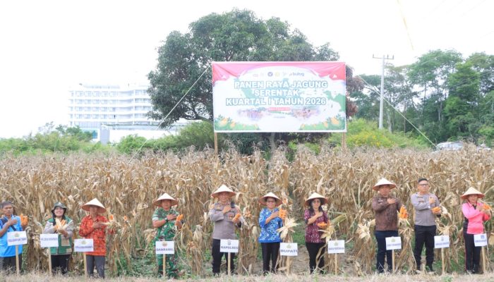 Polres Samosir Ikuti Panen Raya Jagung Serentak Kuartal I Tahun 2026