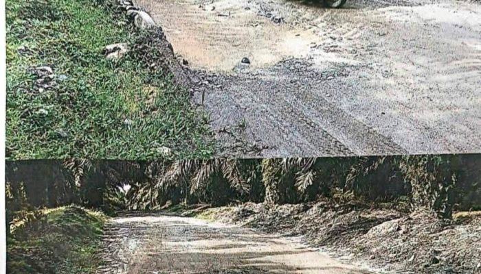 Jalan di Afdeling 2 Kebun Bah Jambi Rusak Berat, Masyarakat Minta PTPN IV Bertindak