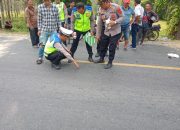 Kecelakaan Maut di KM 19-20 Pematangsiantar-Medan, Petani 71 Tahun Tewas