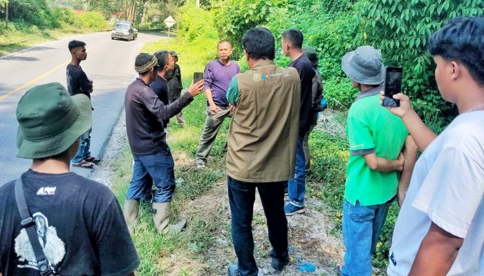 Bangkai Satwa Liar di Simalungun Dipastikan Bukan Harimau Sumatra
