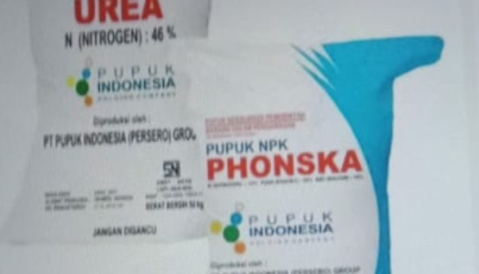Harga Pupuk di Simalungun Membebani Petani, Pemkab Diminta Turun Tangan