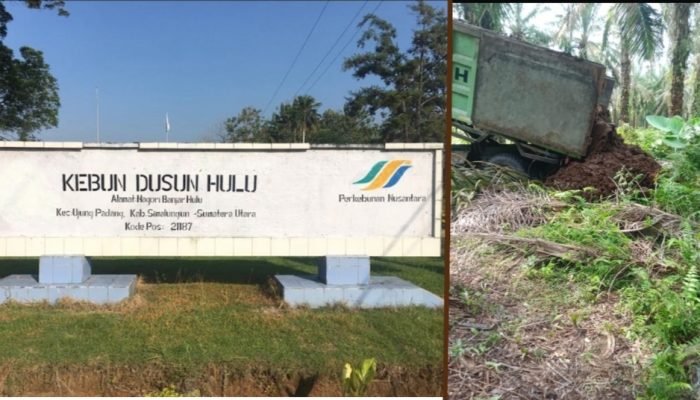Pembuangan Limbah Padat PKS di Kebun PTPN IV Dusun Hulu Jadi Sorotan