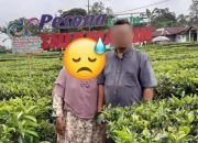 Karyawan PTPN IV PalmCo Kebun Sei Kopas Diringkus, Dugaan Kasus Pencabulan Anak