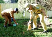 Dukung Gerakan Indonesia ASRI, Bupati Simalungun Ajak ASN Lakukan Kegiatan Bersih-bersih Lingkungan Kerja Usai Apel Pagi