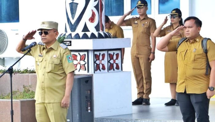 Pimpin Apel Gabungan, Bupati Simalungun: Tingkatkan Kerjasama dalam Melaksanakan Tugas