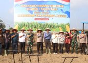 Kapolres Simalungun Pimpin Penanaman Jagung Serentak, Wujud Nyata Polri Dukung Swasembada Pangan