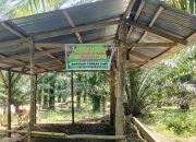 Kelompok Tani Simpati VI Simalungun Klarifikasi Pengutipan Uang