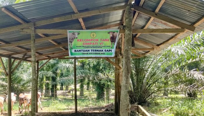 Kelompok Tani Simpati VI Simalungun Klarifikasi Pengutipan Uang