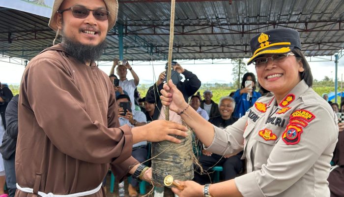 Komitmen Jaga Lingkungan Danau Toba: 620 Pohon Ditaman di Samosir