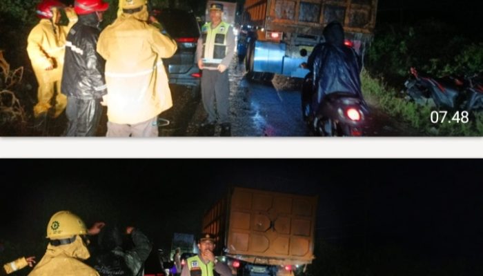 Polsek Tanah Jawa Respons Cepat, Pohon Tumbang di Bukit Kembar Dibersihkan