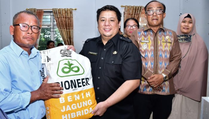 Pemkab Samosir Salurkan Bibit Jagung untuk 50 Hektare, Bupati: Jangan Dijual, Manfaatkan Maksimal.