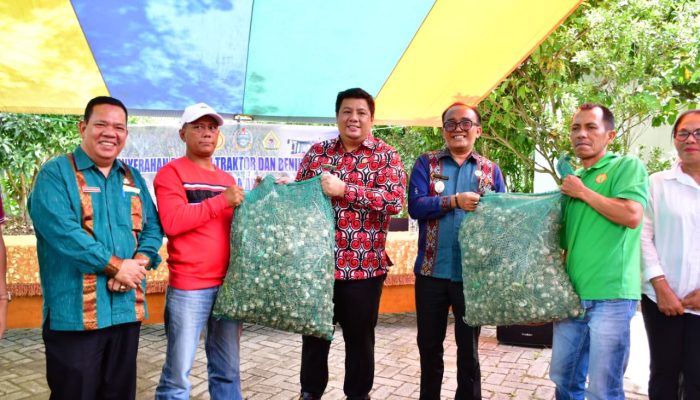 Samosir Disiapkan Jadi Sentra Bawang Putih Nasional
