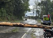 Call Center 110 Polres Simalungun Atasi Pohon Tumbang di Jalur Siantar-Parapat