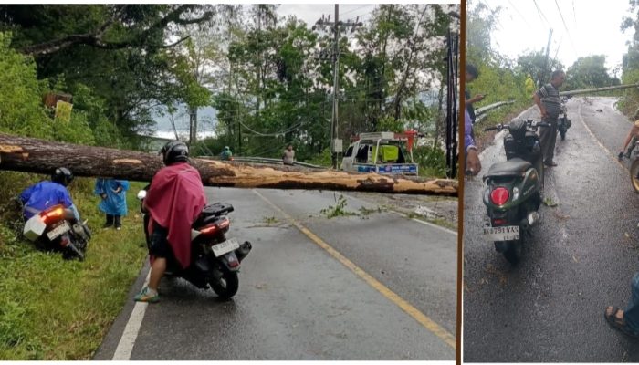 Tiang Listrik dan Pohon Tumbang, Jalan Nasional Parapat ke Siantar Macat Total